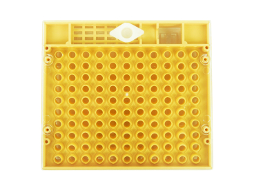 BeePlus-39