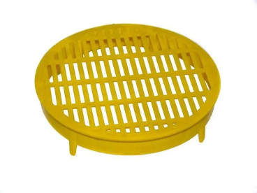 BeePlus-31