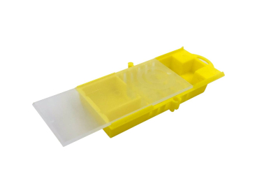 BeePlus-29