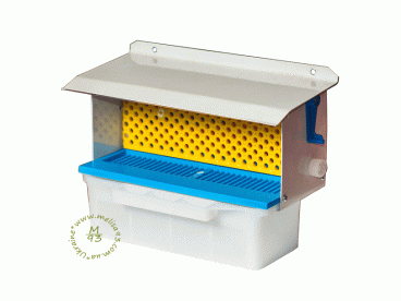 BeePlus-30