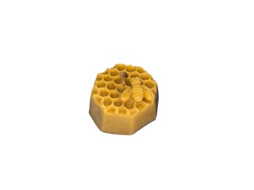 BeePlus-31