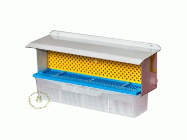 BeePlus-44
