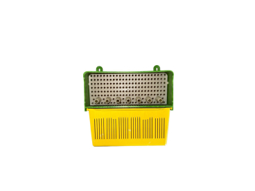 BeePlus-28