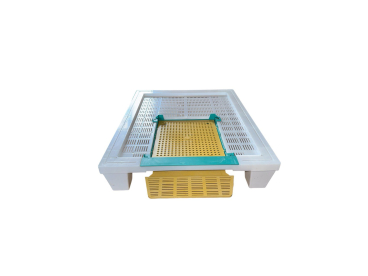 BeePlus-30